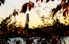 Kran / crane